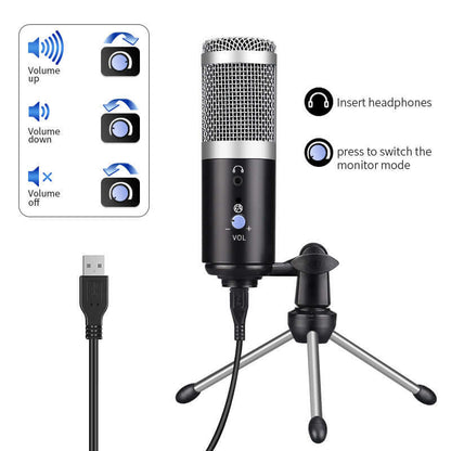 Computer microphone